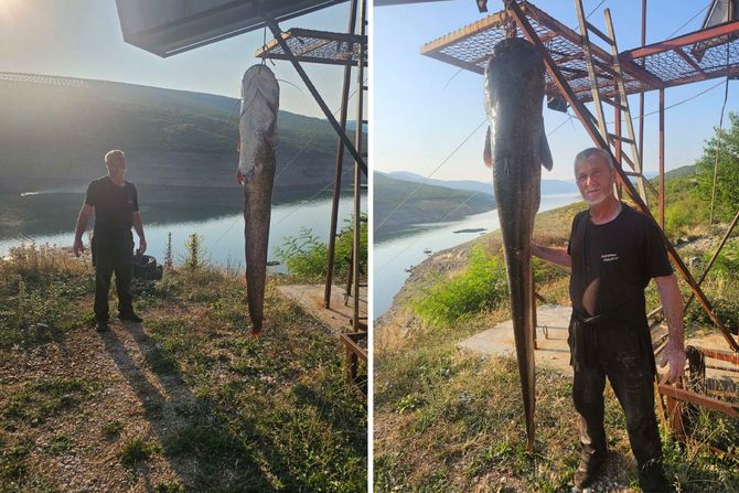 Som od preko 60 kg iz Bilećkog jezera