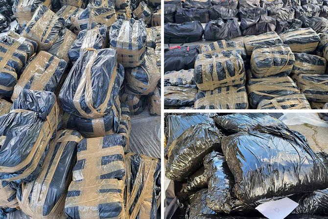 Zaplena droga marihuana kanabis dve 2 tone
