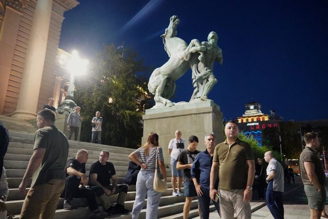 Skupština okupljanje Srpska napredna stranka SNS