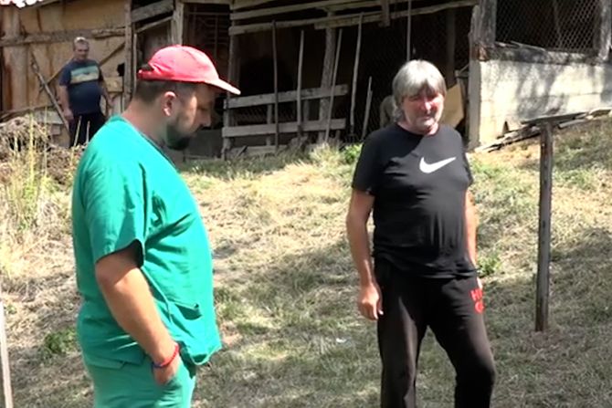 Pokolj u Priboju, ovce, napad pasa