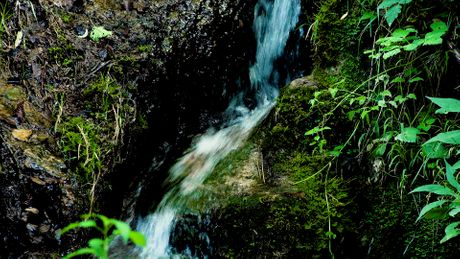 Knjaževac, vodopad Bigar