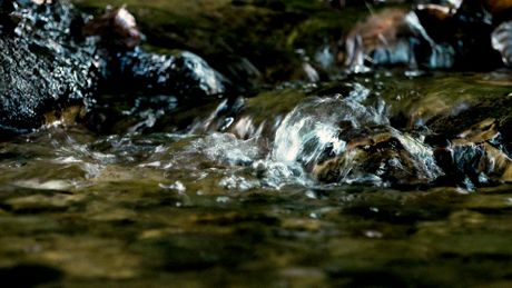 Knjaževac, vodopad Bigar