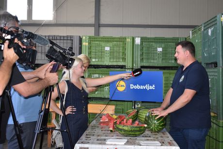 Lidl, 5.000 tona lubenice iz Srbije Lidl, 5.000 tona lubenice iz Srbije
