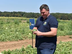 Lidl, 5.000 tona lubenice iz Srbije