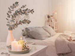 dom, dekor, dekorisanje sobe, eukaliptus, topli eukaliptus