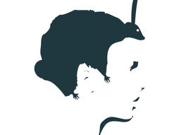 optička iluzija, zadatak, test ličnosti