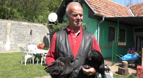 Mujo Lađar Mujo Lađar