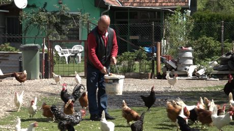 Mujo Lađar Mujo Lađar