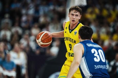 Košarkaška reprezentacija Švedske Finske Košarkaška reprezentacija Švedske Finske
