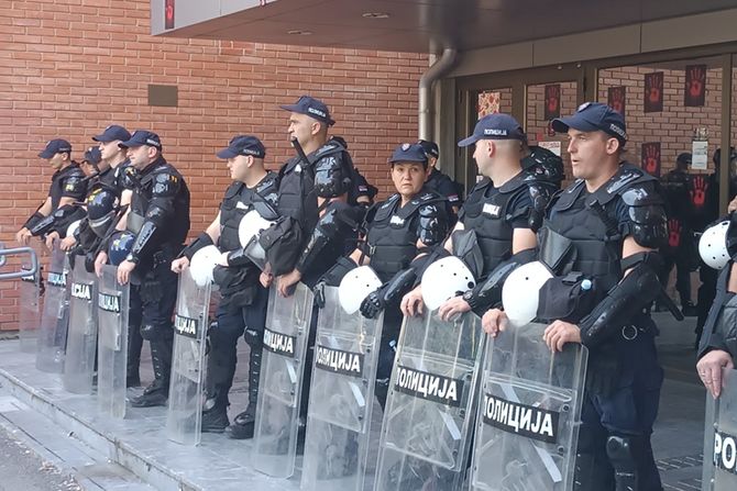 Novi Sad, Filozofski fakultet Novi Sad, Filozofski fakultet