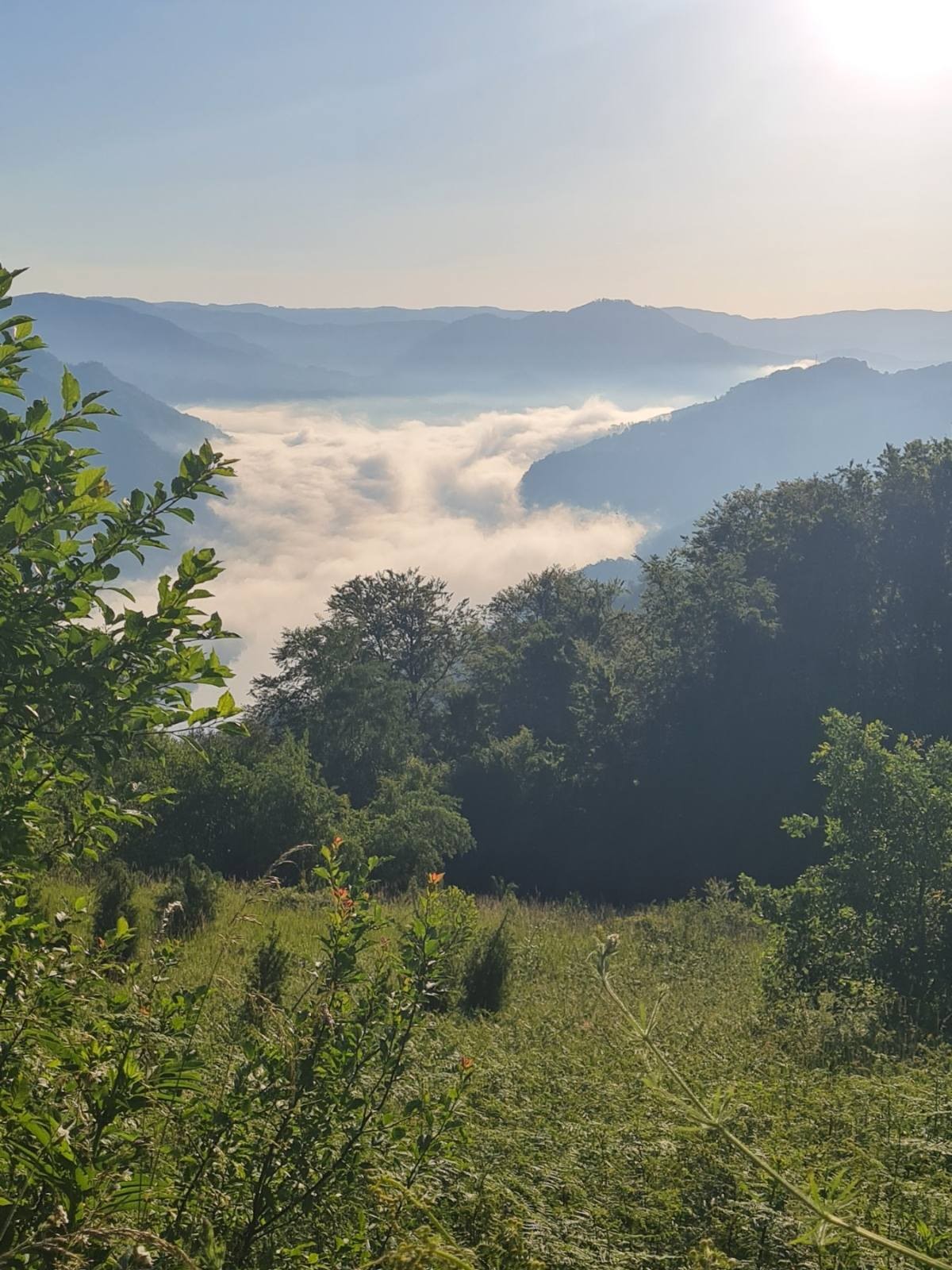 Jedan običaj od Ivanjdana do Petrovdana čuva se vekovima: Sve manje ljudi zna ovu tajnu