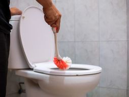 četka za wc šolju, wc šolja, četka