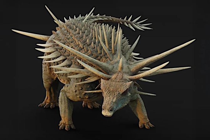 Spicomellus