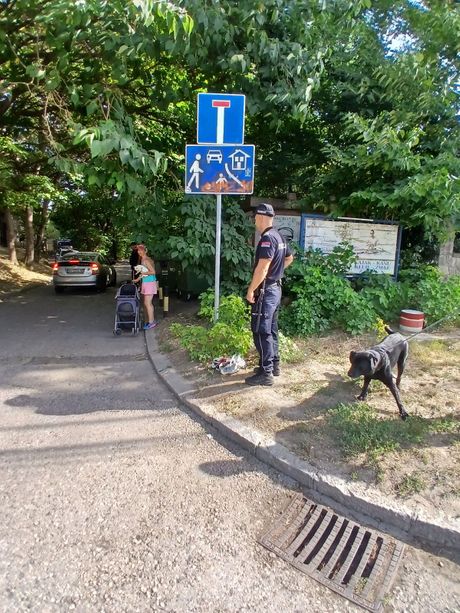 Beba, Zemun Beba, Zemun