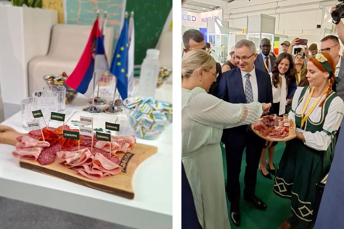 Zlatiborac Zlatiborac