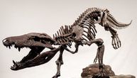 Džinovski krokodil lovio je i jeo dinosauruse: Ime je dobio po egipatskom božanstvu