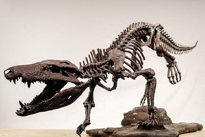 Kostensuchus atrox Kostensuchus atrox