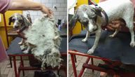 Potresna priča sa šabačkog groblja: Ženkica mesecima nosila oklop od ućebane i prljave dlake