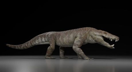Kostensuchus atrox Kostensuchus atrox