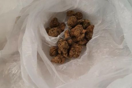 marihuana marihuana