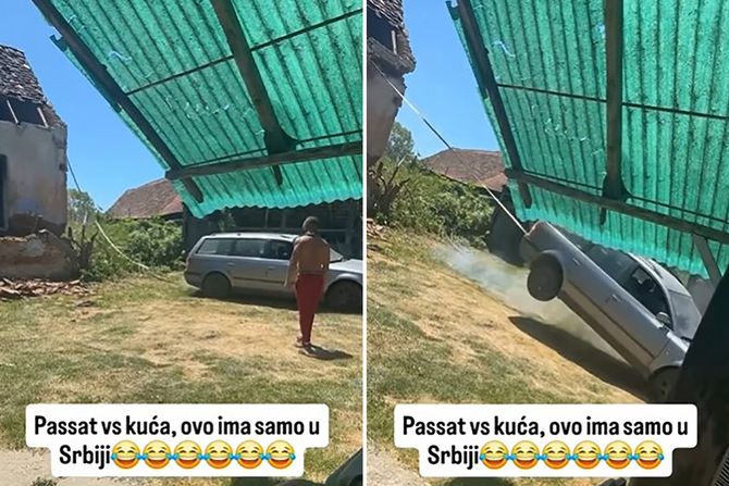pasat vs kuca
