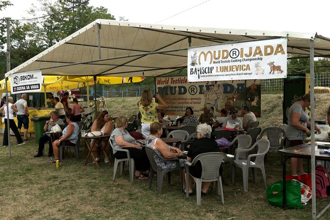 Mudrijada