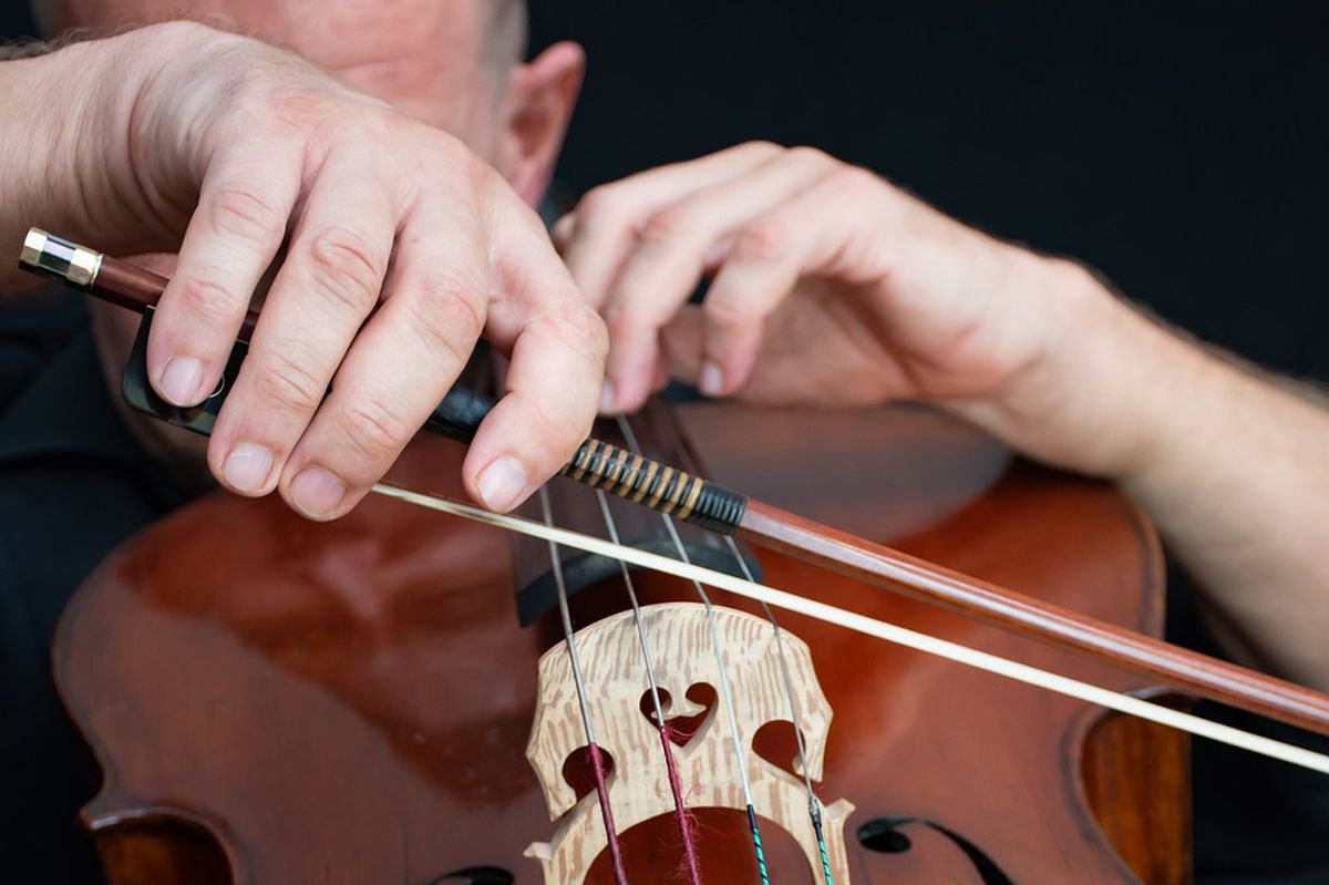 Vivaldi pod zvezdama i izložba Ivane Živić u vrtu Palate Madlena
