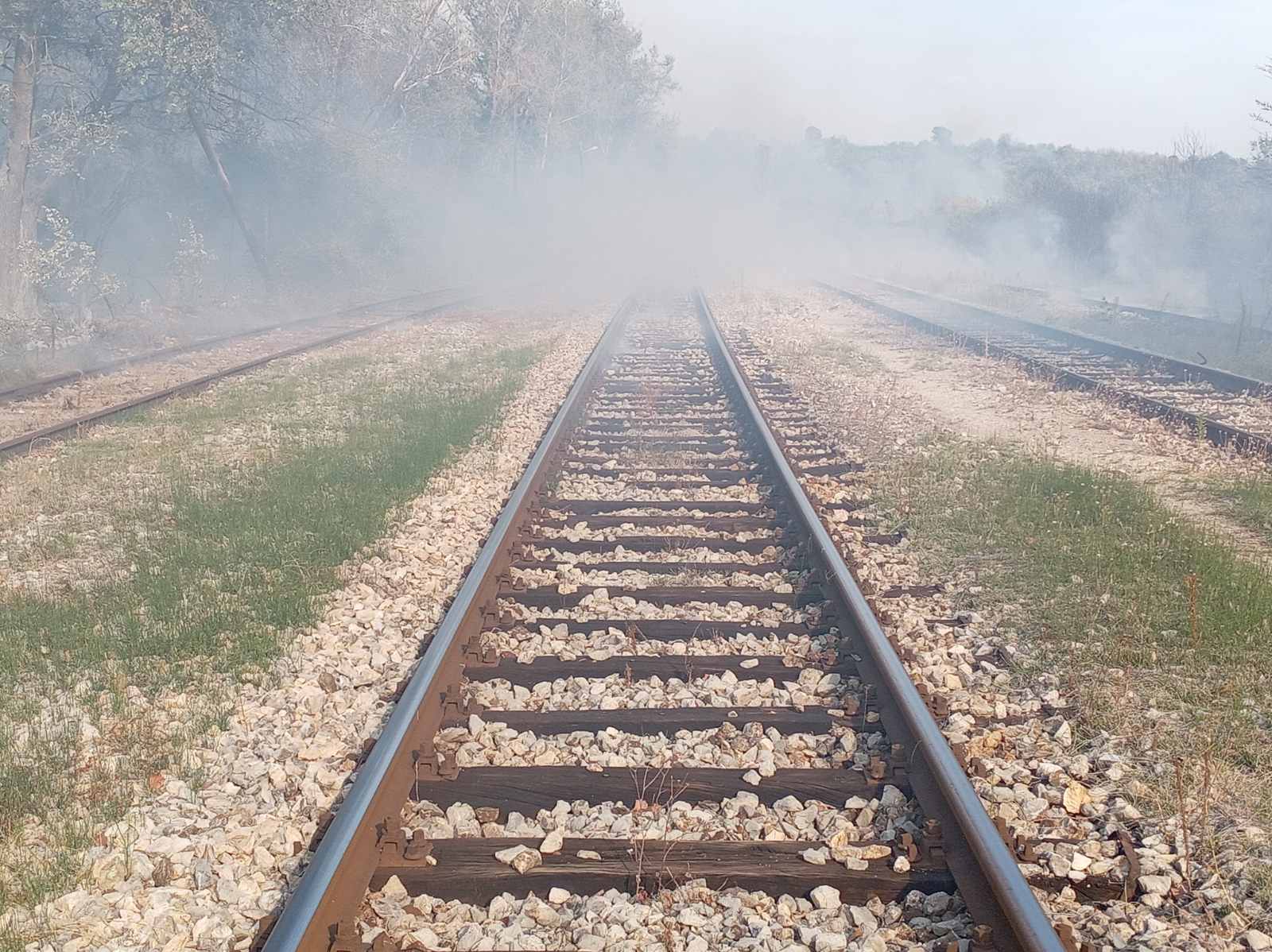 Drama kod Bačke Topole: Voz naleteo na osobu, saobraćaj hitno obustavljen