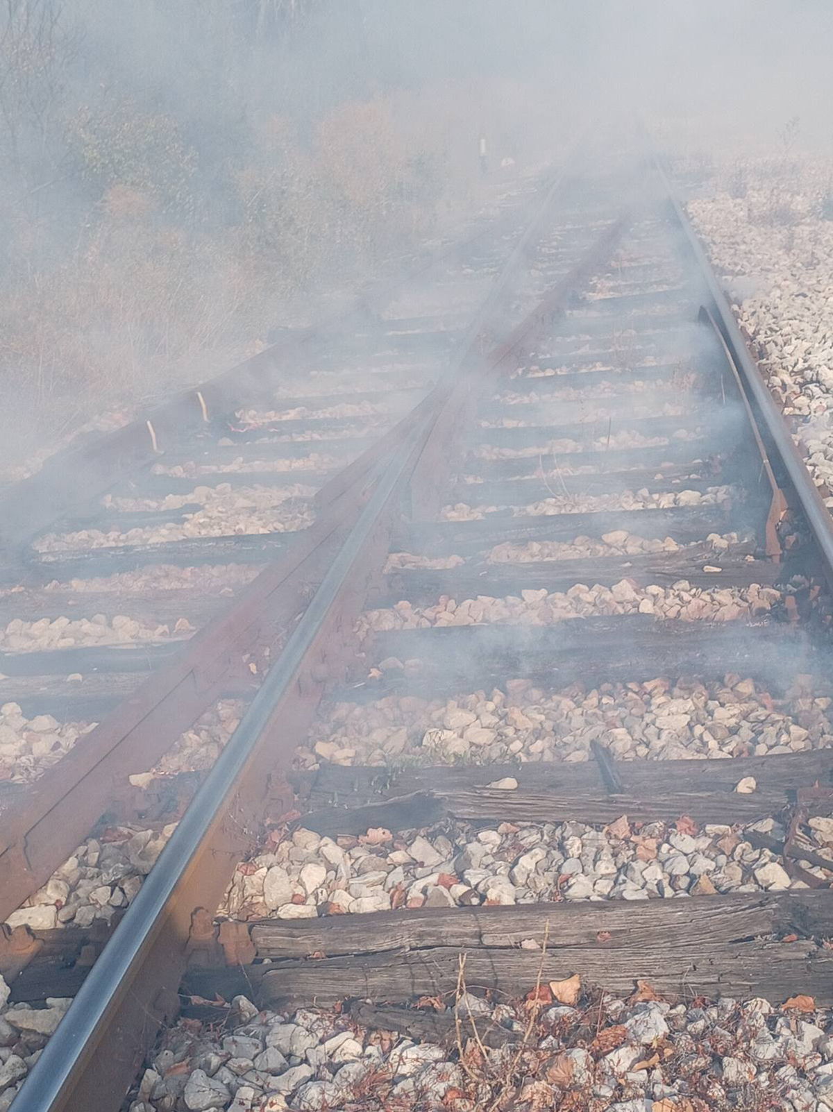 Užas u Bangkoku: Sudar vozova izazvao ogroman požar, najmanje 8 mrtvih i 25 povređenih