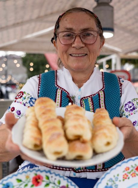 Gastro Srem Gastro Srem