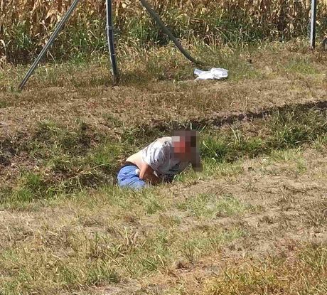 novi banovci, saobracajna nesreca novi banovci, saobracajna nesreca
