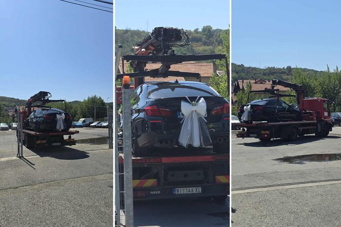 "PAUK" I MLADENCI, NIŠ "PAUK" I MLADENCI, NIŠ