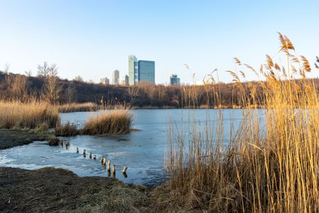 Wienerberger jezero Wienerberger jezero