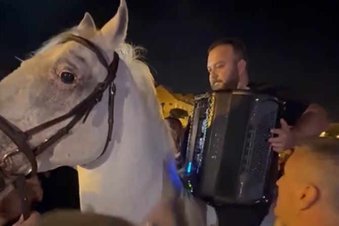Borko Radivojević Borko Radivojević