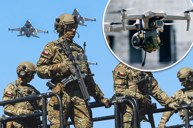 Poljska dron Poljska dron