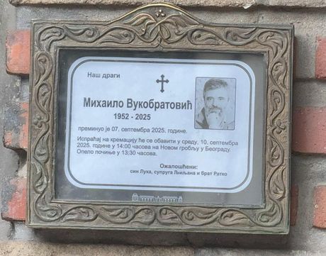 Mihailo Vukobratović Mihailo Vukobratović