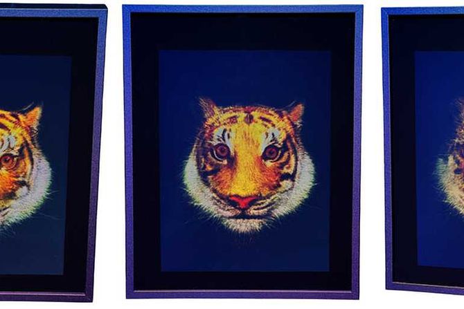 hologram