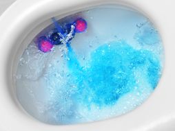 WC šolja, sredstvo za čišćenje, osveživač