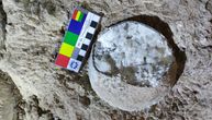 Jaja dinosaurusa stara 85 miliona godina donose revoluciju