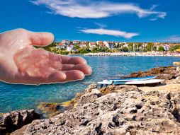 Plaža, Istra, Hrvatska, rebraš, morski orah, meduza