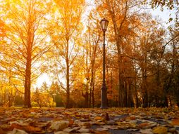 godišnja doba, jesen