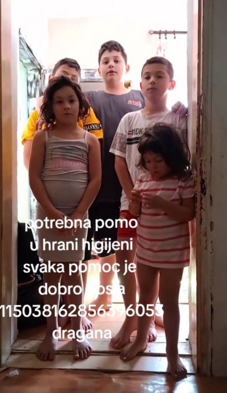Porodica Cegledi, Dragana Cegledi Porodica Cegledi, Dragana Cegledi