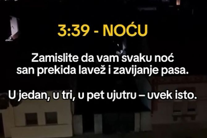 BAČKA PALANKA,KOMŠINICA, PSI