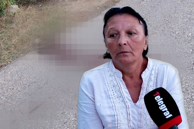 Gordana Č., ubistvo, Obrenovac