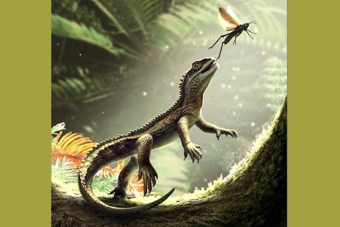 Agriodontosaurus helsbypetrae