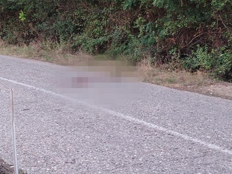 Obrenovac, Veliko polje, ubistvo, mesto napada, ubistva Obrenovac, Veliko polje, ubistvo, mesto napada, ubistva