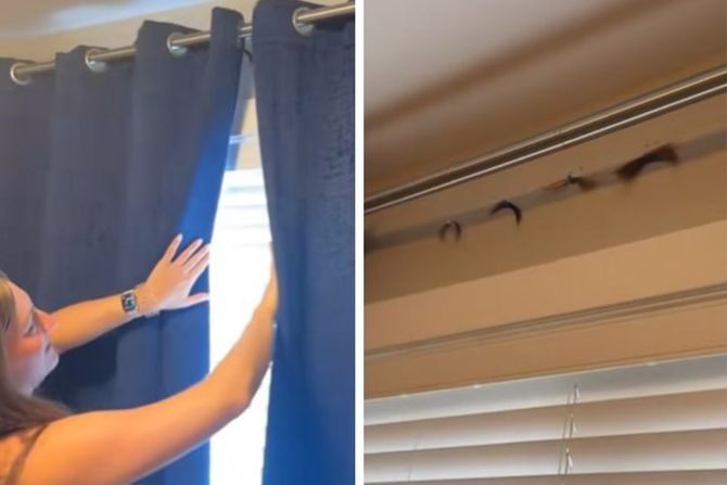 Bizarno otkrice Bizarno otkrice