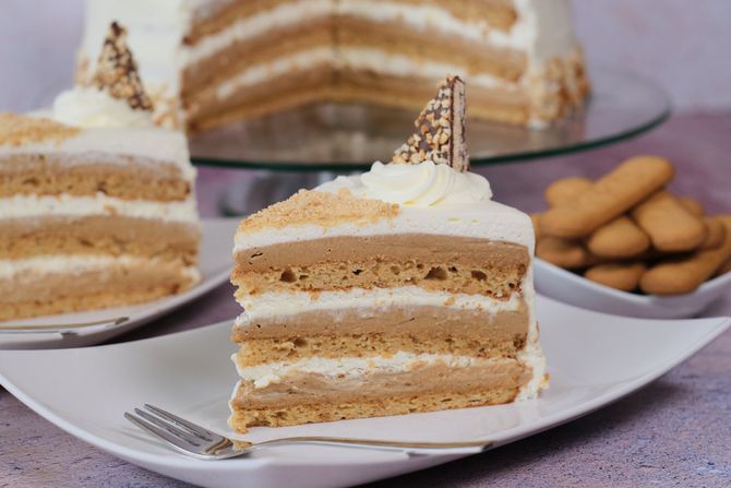 Plazma torta