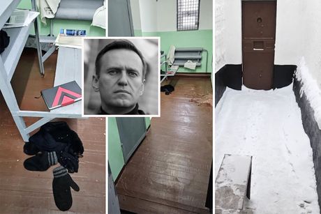Alexei Navalny, Aleksej Navaljni, ćelija, arktički zatvor