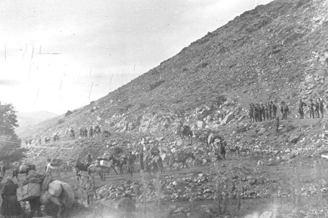 Partizanske snage, drugi svetski rat, partizani